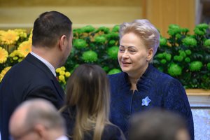D. Grybauskaitė apie saugumo situaciją regione: su atgrasymu pavėlavome, dabar reikia gintis