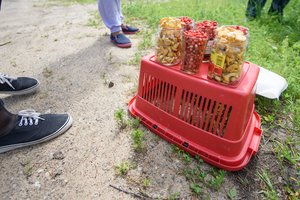 Piktinasi, kad senjorus nuo parduotuvių vaiko kaip nusikaltėlius: „Juk tai – ne iš gero gyvenimo“