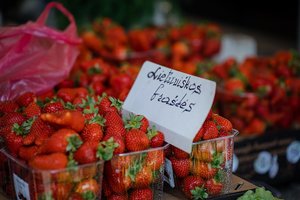 Nesitikėkite, kad lietuviškos braškės stipriai atpigs: štai kokia bus minimali kaina