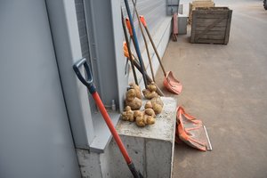 Dar vienas miestas reaguoja į stichinę sausrą: paskelbė ekstremaliąją situaciją