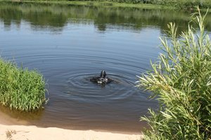 Tragiška nelaimė netoli Druskininkų: nuskendo besimaudantis žvejys