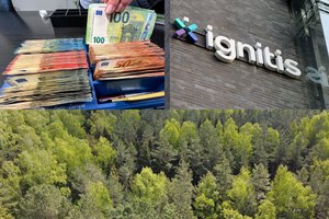Tarp pelningiausių valstybės valdomų įmonių – „Ignitis grupė“, Valstybinių miškų urėdija