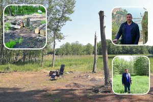 Gyventojai pakraupę – ilgai saugota pakrantė suniokota, ilgaamžiai medžiai krito vienas po kito