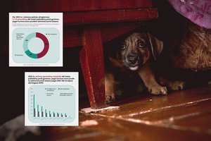 2022-aisiais dėl gyvūnų teisių pažeidimų į Lietuvos policiją kreiptasi daugiau nei 2000 kartų – nubausta beveik pusė