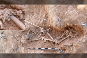 Paslaptingi žiedai atskleidė įspūdingą senovės prekybos kelią