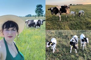 Dzūkės Aušros laukuose – unikalus vaizdas: pamačius net galva ėmė svaigti