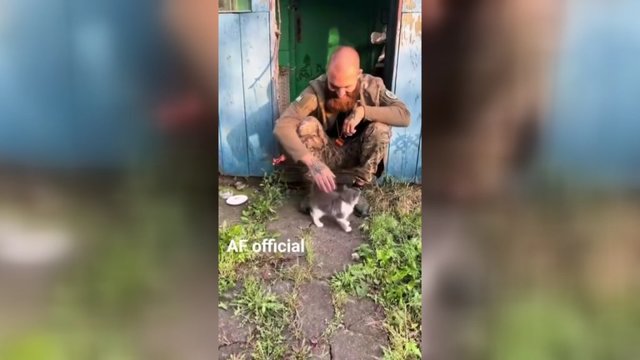 Jautri akimirka fronte: slogią Ukrainos gynėjo kasdienybę praskaidrino katinėlis