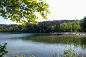 VSTT: lankantis saugomose teritorijose vykstančiuose renginiuose, būtina įsigyti lankytojo bilietą