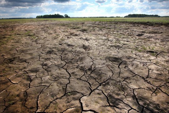 Švenčionių rajone – ekstremalus įvykis: pražuvo didžiuliai plotai pasėlių