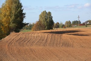Už melioracijos griovių priežiūrą išmokos didinamos tris kartus – kokios sąlygos