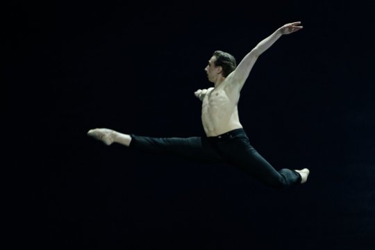  „LNOBT Open“ baleto vakaras: D. Cherevychko.<br> M. Aleksos nuotr.