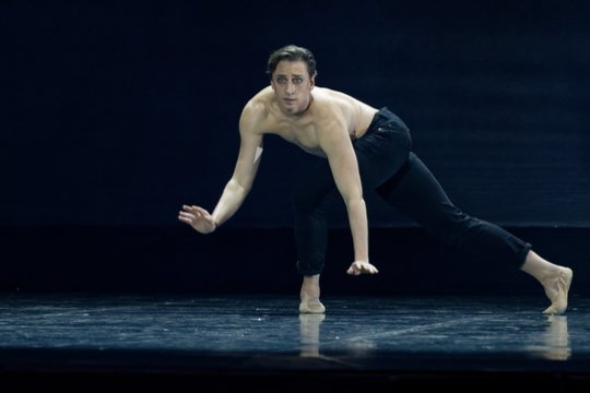  „LNOBT Open“ baleto vakaras: D. Cherevychko.<br> M. Aleksos nuotr.