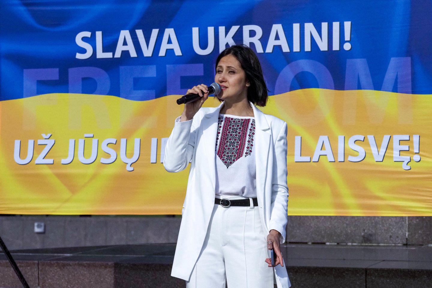 Mitingas Vilniuje: „Ukrainai – narystę NATO be jokių išlygų“.<br> V.Ščiavinsko nuotr.