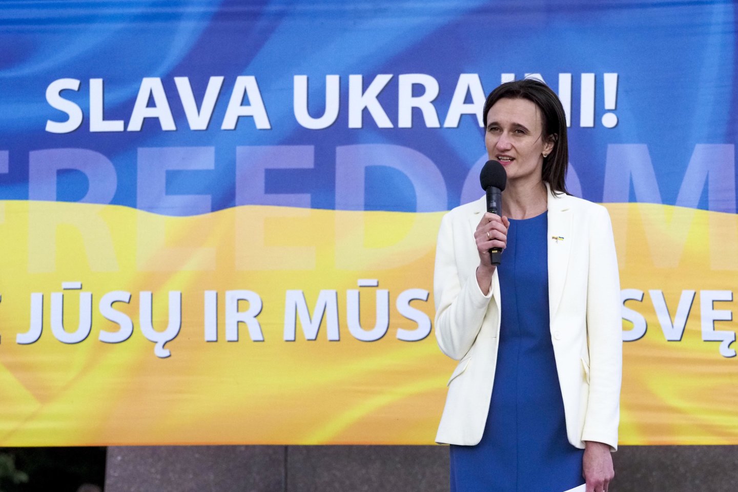 Mitingas Vilniuje: „Ukrainai – narystę NATO be jokių išlygų“.<br> V.Ščiavinsko nuotr.