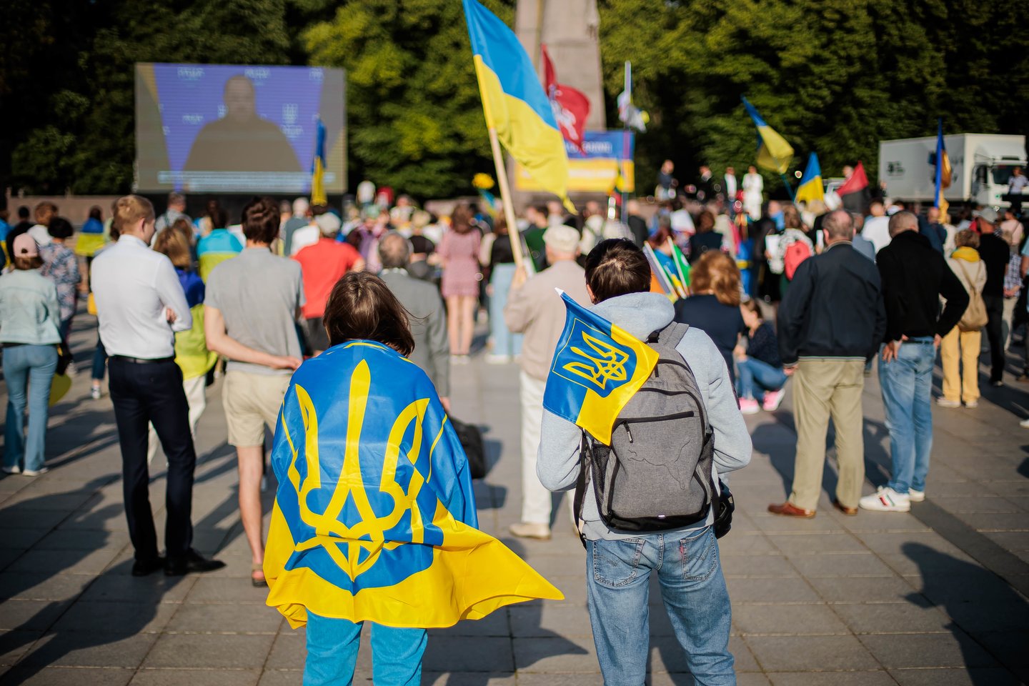 Mitingas Vilniuje: „Ukrainai – narystę NATO be jokių išlygų“.<br> ELTA / Josvydas Elinskas