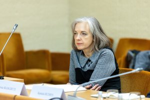 A. Skaisgirytė: tikėtina, kad NATO susitikime bus nuspręsta Baltijos regione dislokuoti daugiau oro ir priešraketinės gynybos sistemų