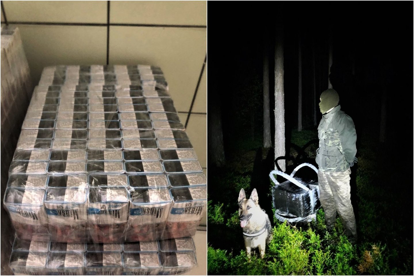 Lazdijų rajone tarnybinis šuo sučiupo rūkalų kontrabandininką.<br>Lrytas.lt fotomontažas.