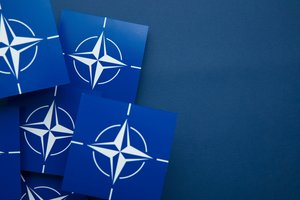 Programišiai NATO viršūnių susitikimo metu nesnaus: neužkibkite ant jų kabliuko