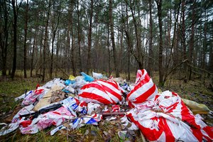 Seimas pritarė Baudžiamojo kodekso pataisoms: šiurkštūs aplinkosauginiai pažeidimai užtrauks atsakomybę