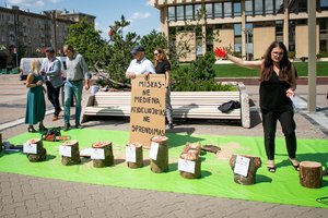 Prie Seimo – benzopjūklų garsai: žalieji ragina parlamentarus pasirašyti susitarimą dėl miškų