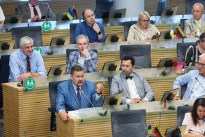 Seimas po pateikimo pritarė siūlymui dėl Stambulo konvencijos kreiptis į KT