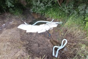 Prienų rajone aplinkosaugininkai ir ugniagesiai rinko į Revuonos upelį tekėjusius teršalus