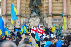 JAV ambasadorė Sakartvele paragino Kijevą ir Tbilisį siekti vienybės