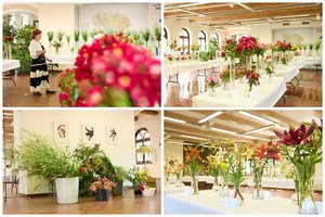 Rojus žemėje: VU botanikos sode atidaryta įspūdinga vasaros žiedų paroda