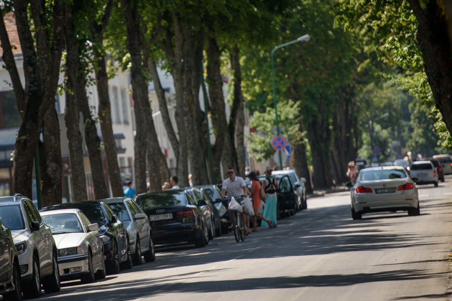 Dažnai automobilius paliekame po medžiais, kurie išskiria sakus.<br>D.Umbraso nuotr.