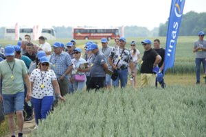 Neįmanoma atsitraukti – sausros, liūtys ir audros verčia mokslininkus kurti naujas javų veisles bei skaičiuoti kiekvieną pesticidų gramą   