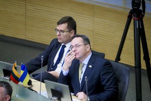 Nemano, kad reikėtų spaudimo dėl formuluotės NATO deklaracijoje: vokiškas žodis reiškia realius darbus