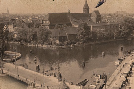 Alt photo text