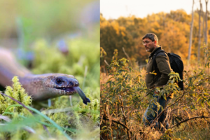 Knygą vaikams parašęs gamtininkas Marius Čepulis įvardijo, koks  gyvūnas pavojingiausias Lietuvoje