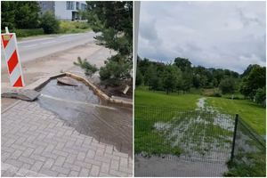 Kauniečiai praneša apie teršiamą gamtą: tai vyksta jau nebe pirmą kartą