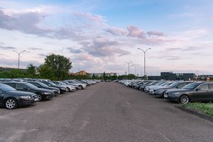Ekspertas paaiškino, kodėl automobilių prekyba internetu turi pasisekimą Lietuvoje