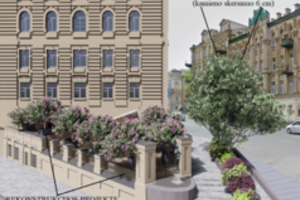 Vilniaus centre nukirs 9 medžius: ruošiasi paaiškinti, kodėl tai nori padaryti