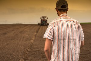 Gavęs paramą jaunas ūkininkas iš nuomojamo buto Kaune persikėlė į kuriamą ūkį