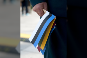 Naujas rekordas Estijoje: 71 proc. tarnauti į kariuomenę einančių jaunuolių žengia šį žingsnį savo noru