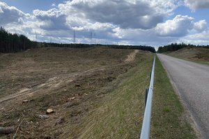 Dar kartą apie apnuogintas kopas: dzūkai – pyksta, gamtininkai – džiūgauja, o klausimai apie pinigus kone visus siutina