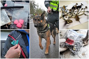 20-oji „Yaga Gathering“ prasidėjo įprastai: policija festivalio prieigose iš žiūrovų atiminėjo kvaišalus