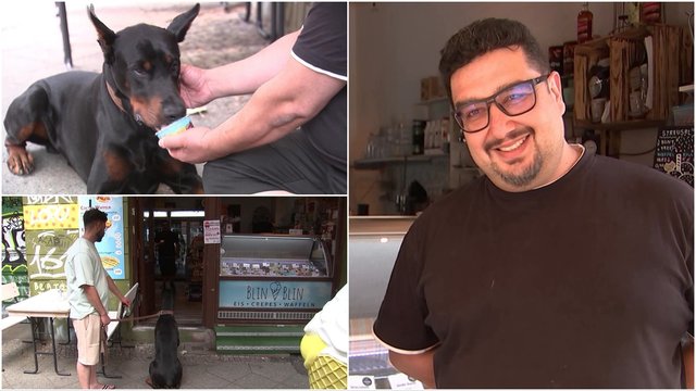 Berlyne vyras sukūrė tikrą rojų šunims – pardavinėja kepenėlių skonio ledus