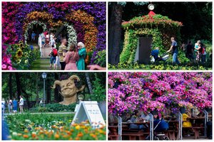 Pamatę šiuos vaizdus norėsite ten patys nuvykti: Pakruojo dvaras ir vėl pavergė širdis