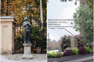 Socialiniuose tinkluose – audra dėl planuojamo medžių kirtimo Vilniuje: ragina pasipriešinti