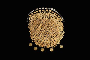 Kukurūzų lauke rado lobį – tikisi parduoti už milijonus