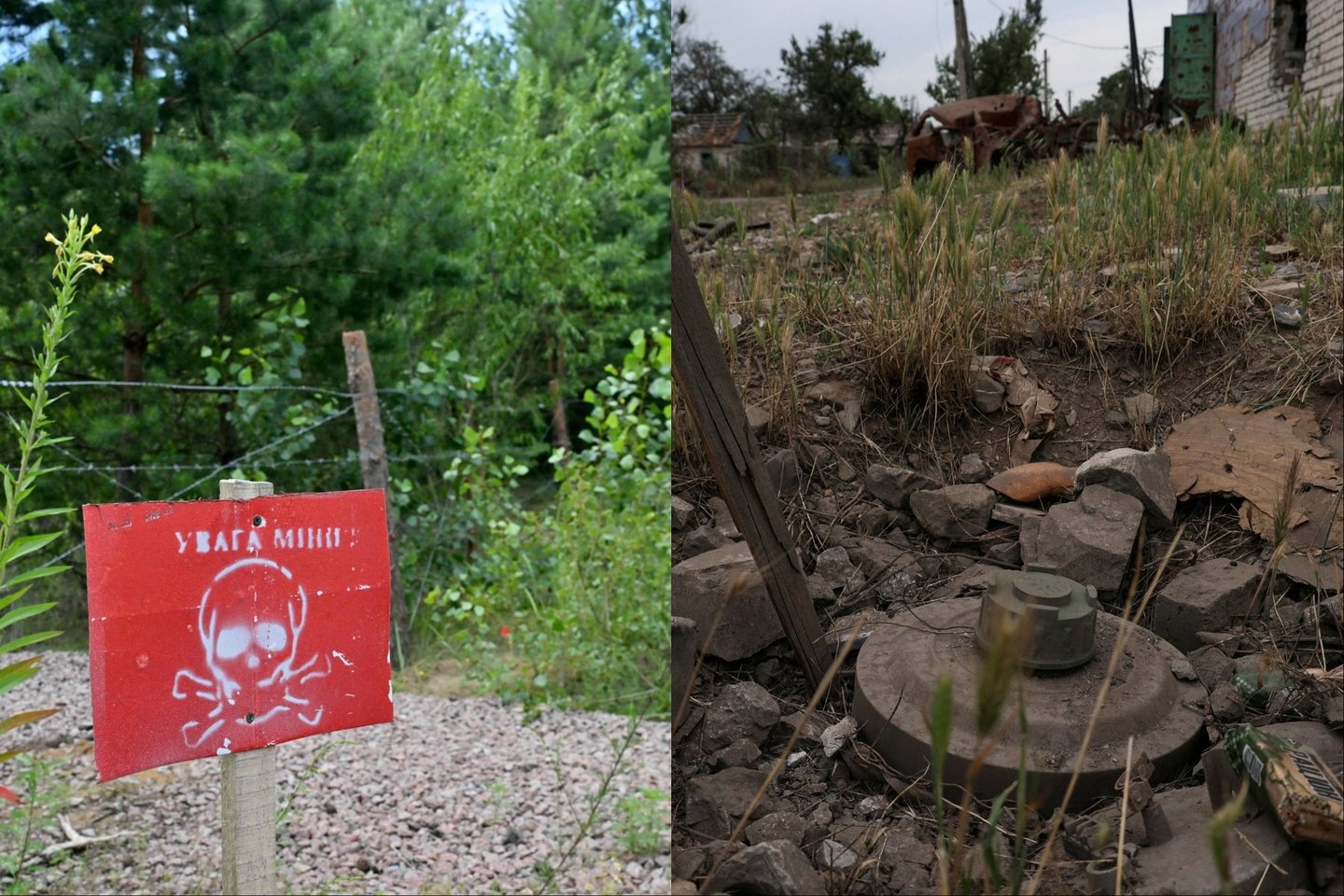 Karas Ukrainoje. Rusų minos.<br>lrytas.lt koliažas.
