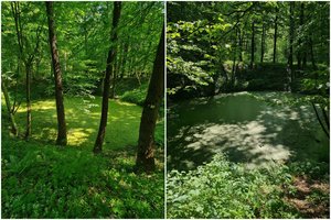 Ypatingos vietos Aukštadvario regioniniame parke: formuotis pradėjo prieš tūkstančius metų