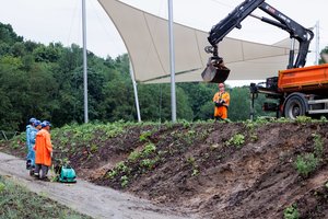Liūtis visiškai išdarkė naująjį sostinės parką: skelbia, kad aiškinsis, kur pridarė klaidų