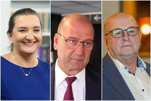 Paskelbė turto deklaracijas: lyderiauja A. Landsbergienė, dešimtuke – V. Uspaskichas, V. Matijošaitis