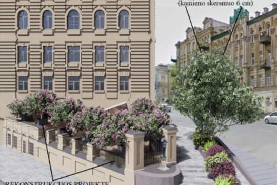 Dėl 9 Vilniuje svarbiausių medžių paveldosaugininkai įtaria verslininkų klastą