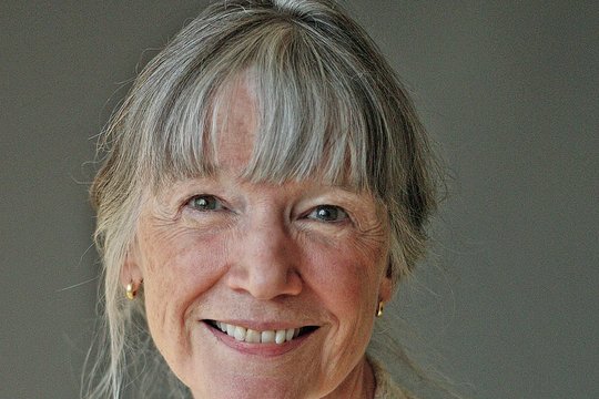 Romanas „Garetų šeimos istorija“: A. Tyler pasaulis iš kasdienybės miniatiūrų